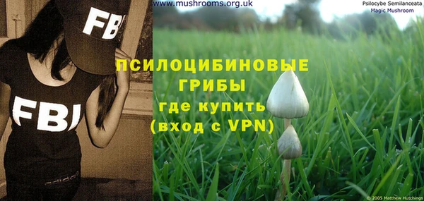 гидропоника Каменка