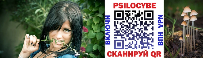 Галлюциногенные грибы Psilocybe  Купить закладки  Беслан 